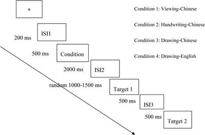 Effect of <mark class="highlighted">Handwriting</mark> on Visual Word Recognition in Chinese Bilingual Children and Adults